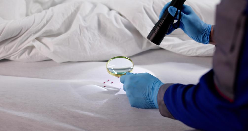 VACO Pest Bed Bug Treatment