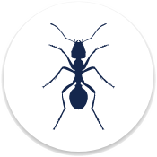 Ant Control