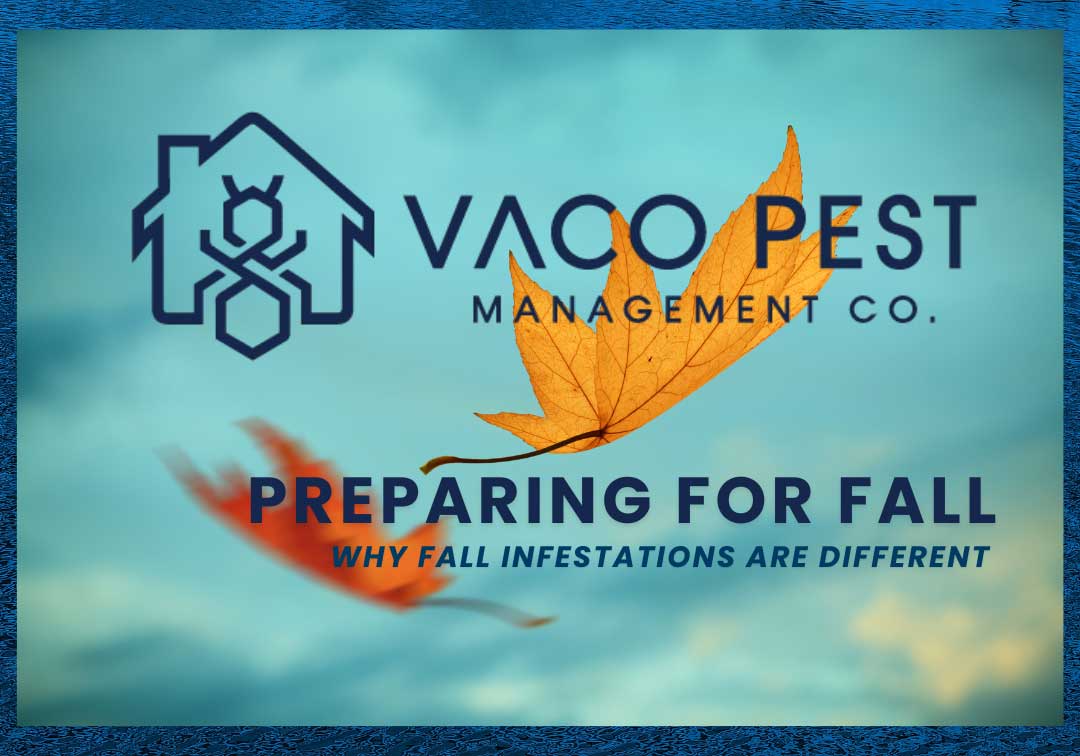 Preparing for Fall Pests: WHY FALL INFESTATIONS ARE DIFFERENT