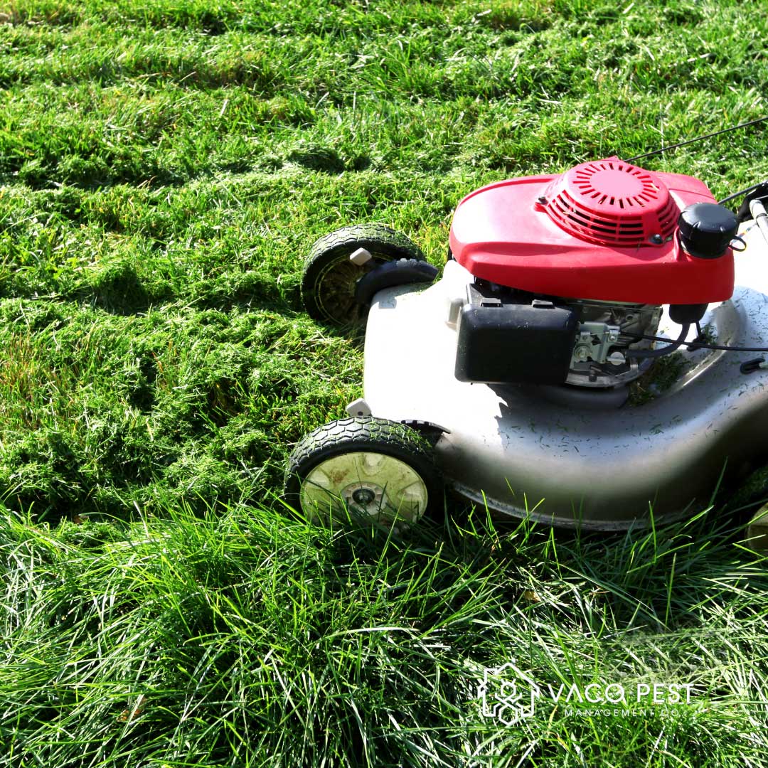 Maintaining a well maintained yard is an important part of preventing ticks and mosquito breeding;.