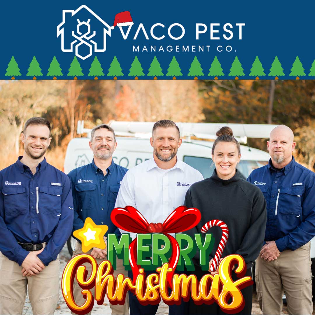 Merry Christmas from our VACO PEST team!