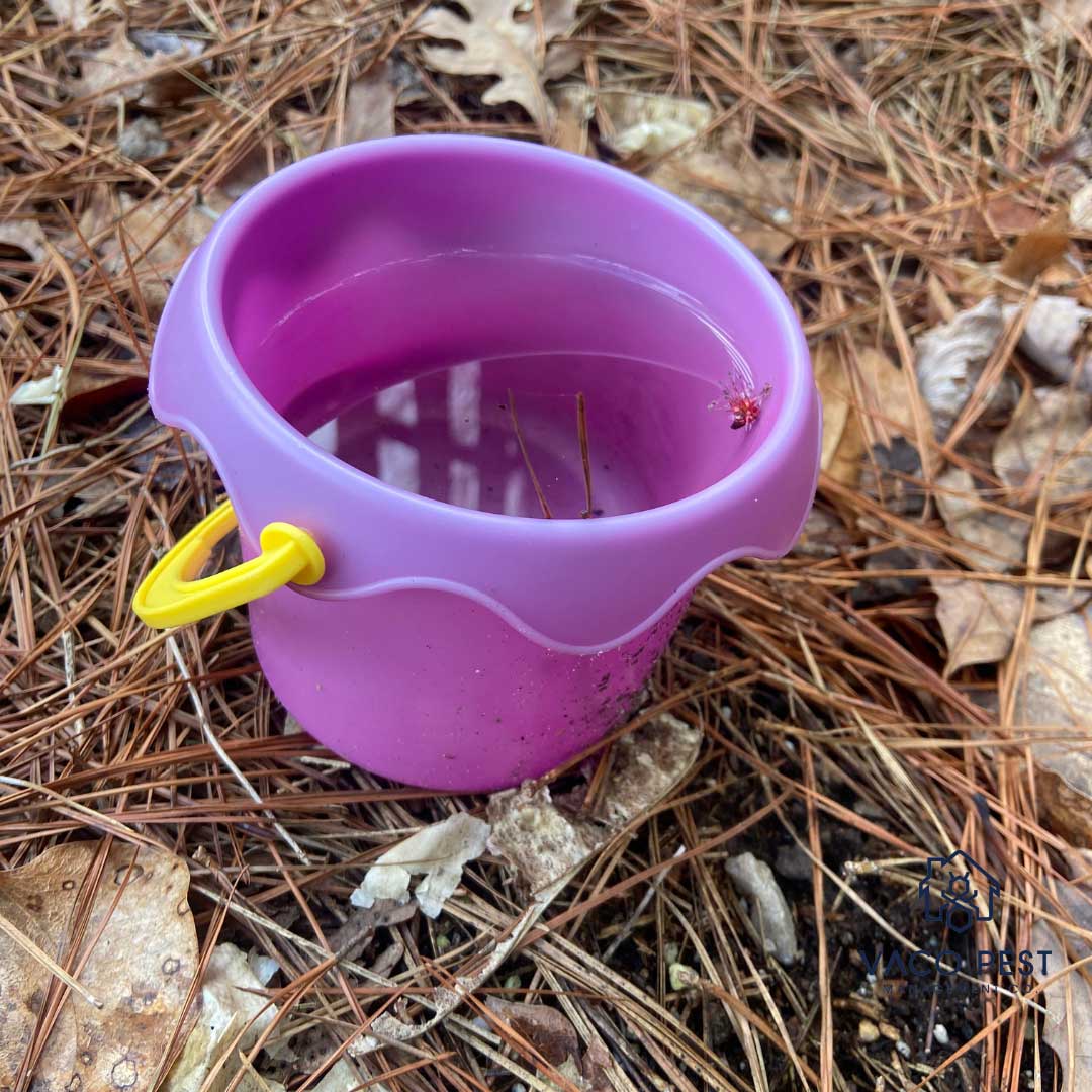 Standing water is a prime breeding ground for mosquitoes.