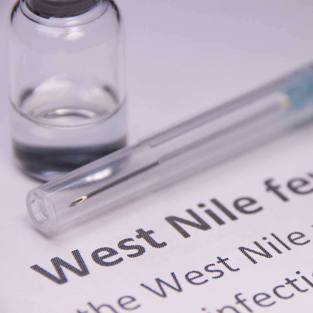 West Nile Virus facts for NC &amp; VA