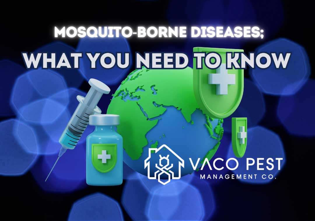 Mosquito-Borne Diseases in NC &amp; VA: What Families Need to Know