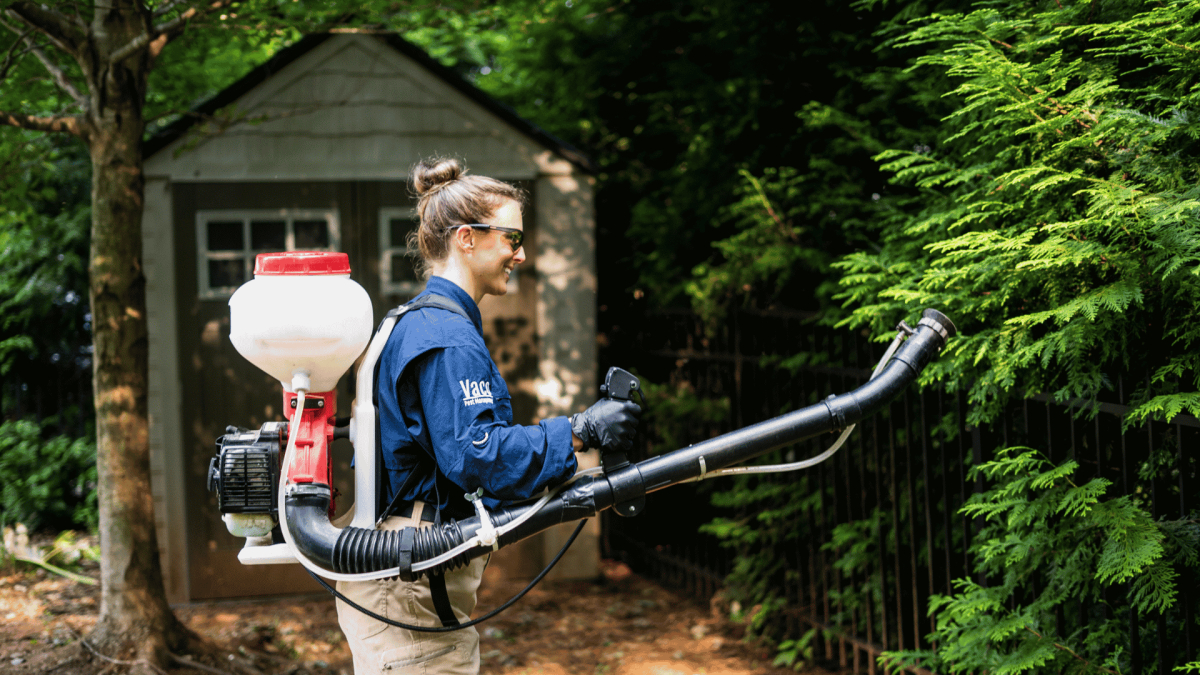 Mechanicsville, VA Pest Control
