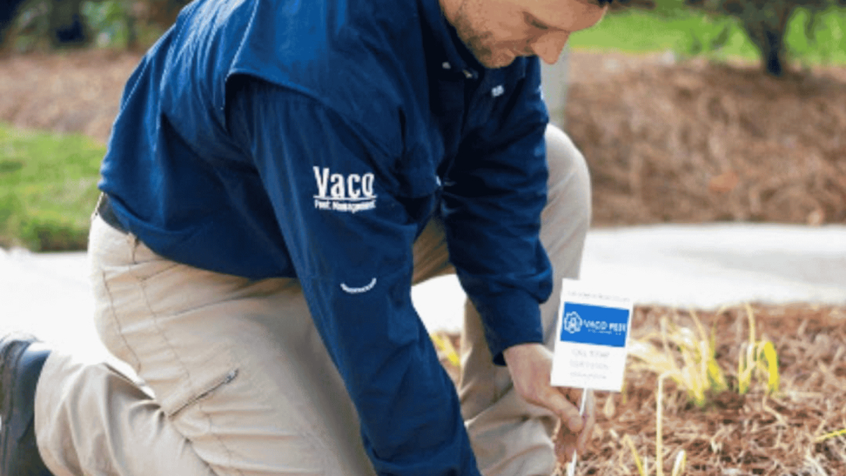 Midlothian, VA Pest Control