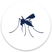 Mosquito Control