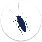 Pest Control