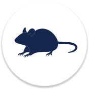 Rodent Control