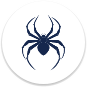 Spider Control